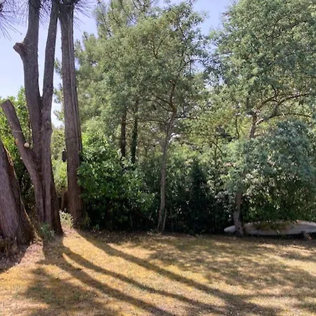 : Maison 5 Pers, Jardin, Animaux Admis - Fr-1-823-43 *